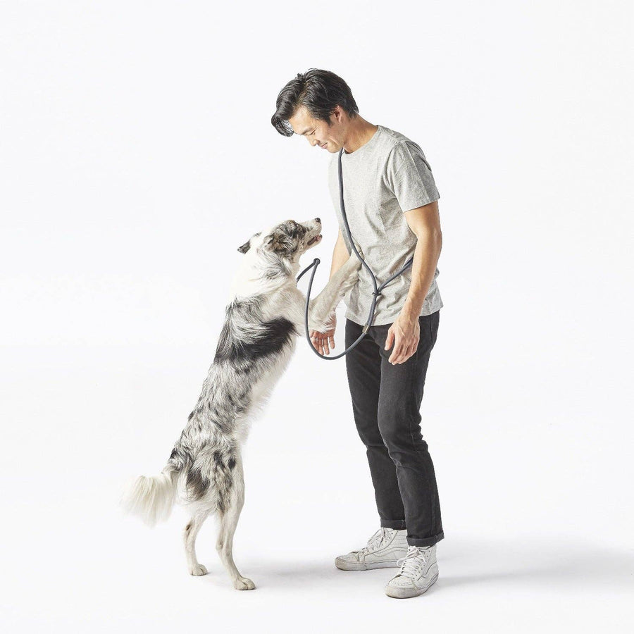 Magic Leash®