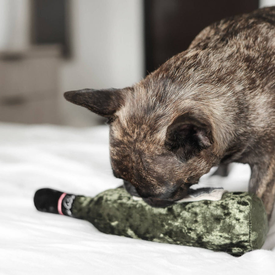 Merlot Dog Toy
