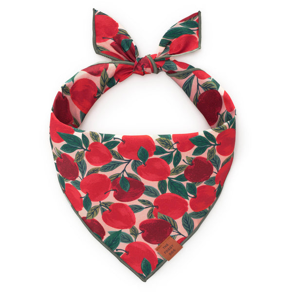 Apple of My Eye Fall Dog Bandana