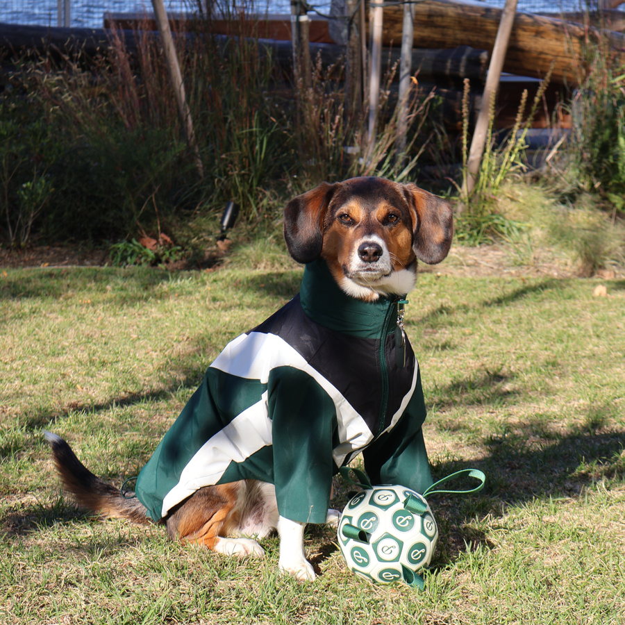 Puppster Soccer Ball with matching windbreaker