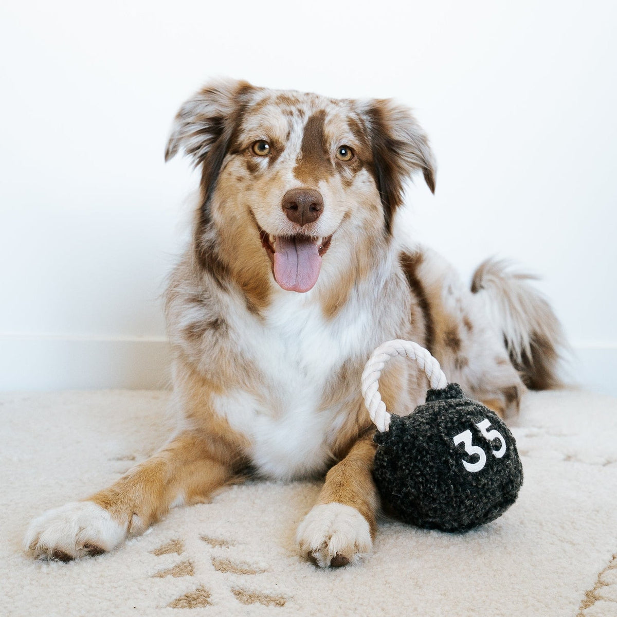 Kettlebell Enrichment Dog Toy lifestyle