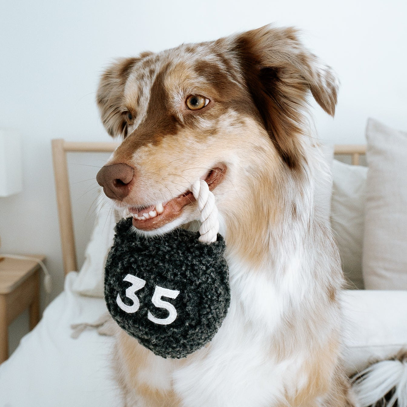 Kettlebell Enrichment Dog Toy lifestyle