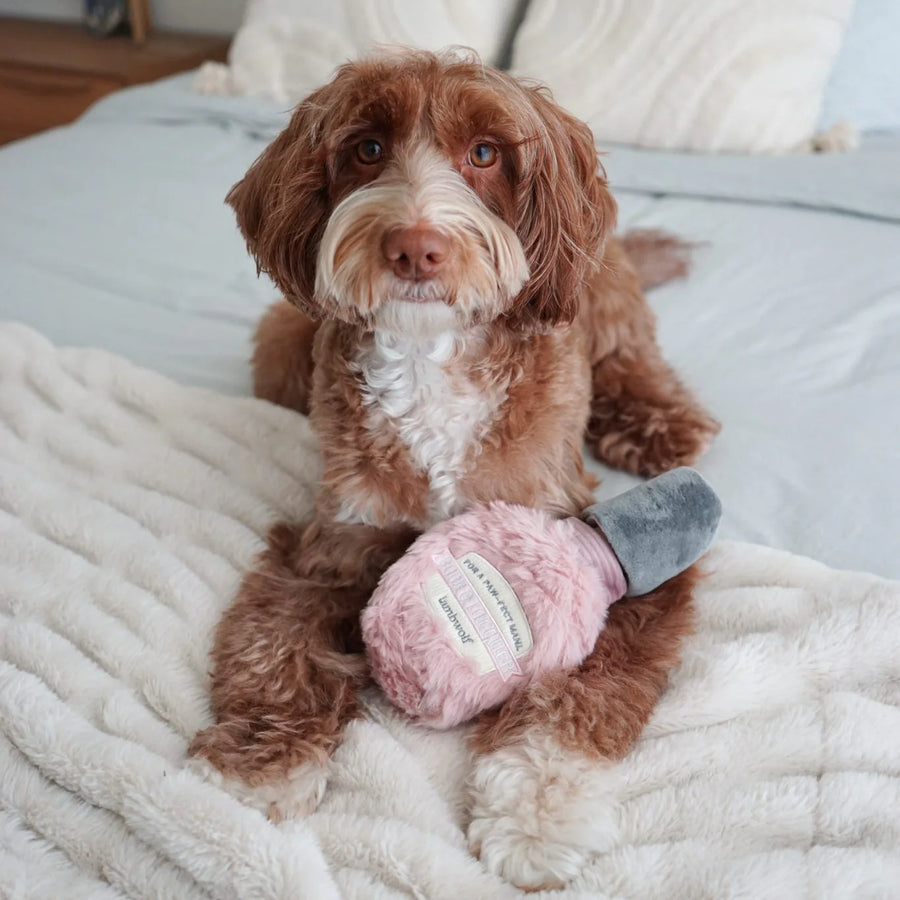 Nail Polish Enrichment Dog Toy