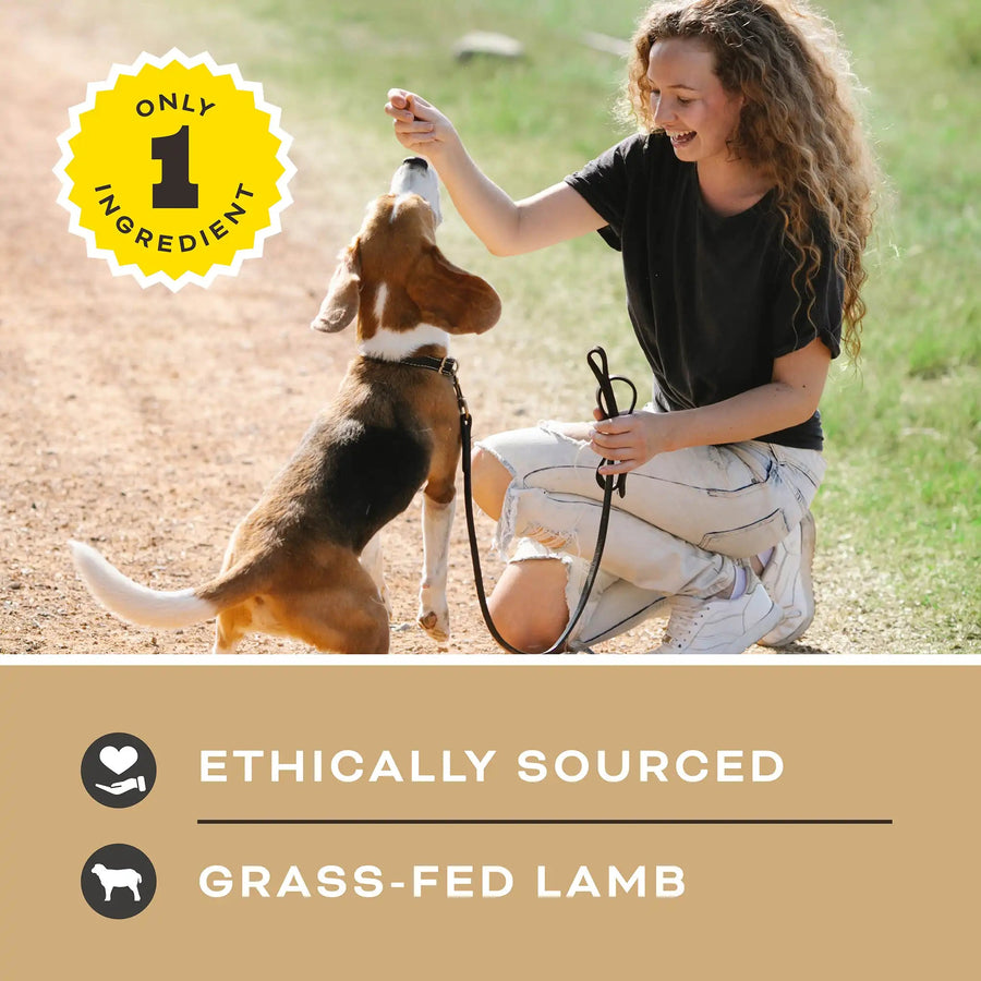 Let's All Get A Lung Lamb Dog Treats