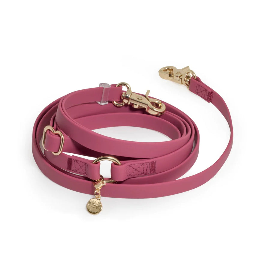 4-in-1 Convertible Hands Free Cloud Dog Leash