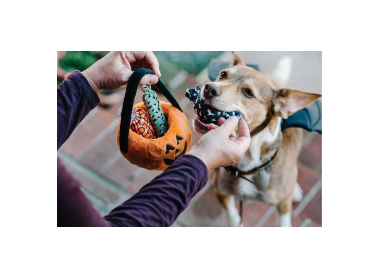 Howl-o-ween Treat Basket Toy