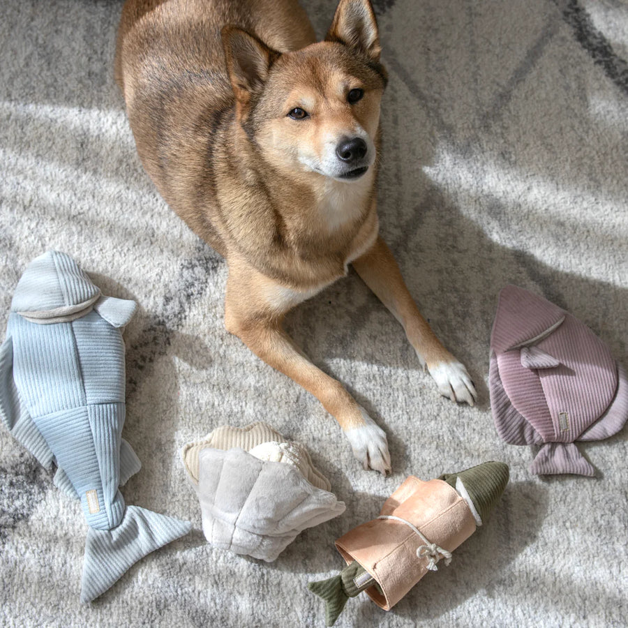 Flying Fish Dog Toy