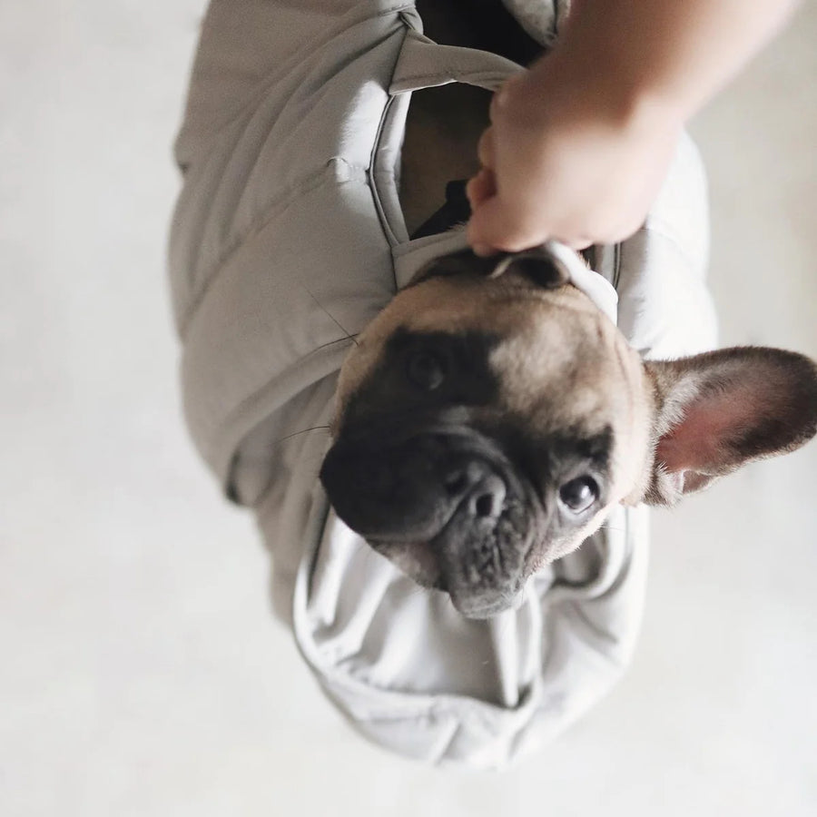 Olla Petite Pet Carrycot