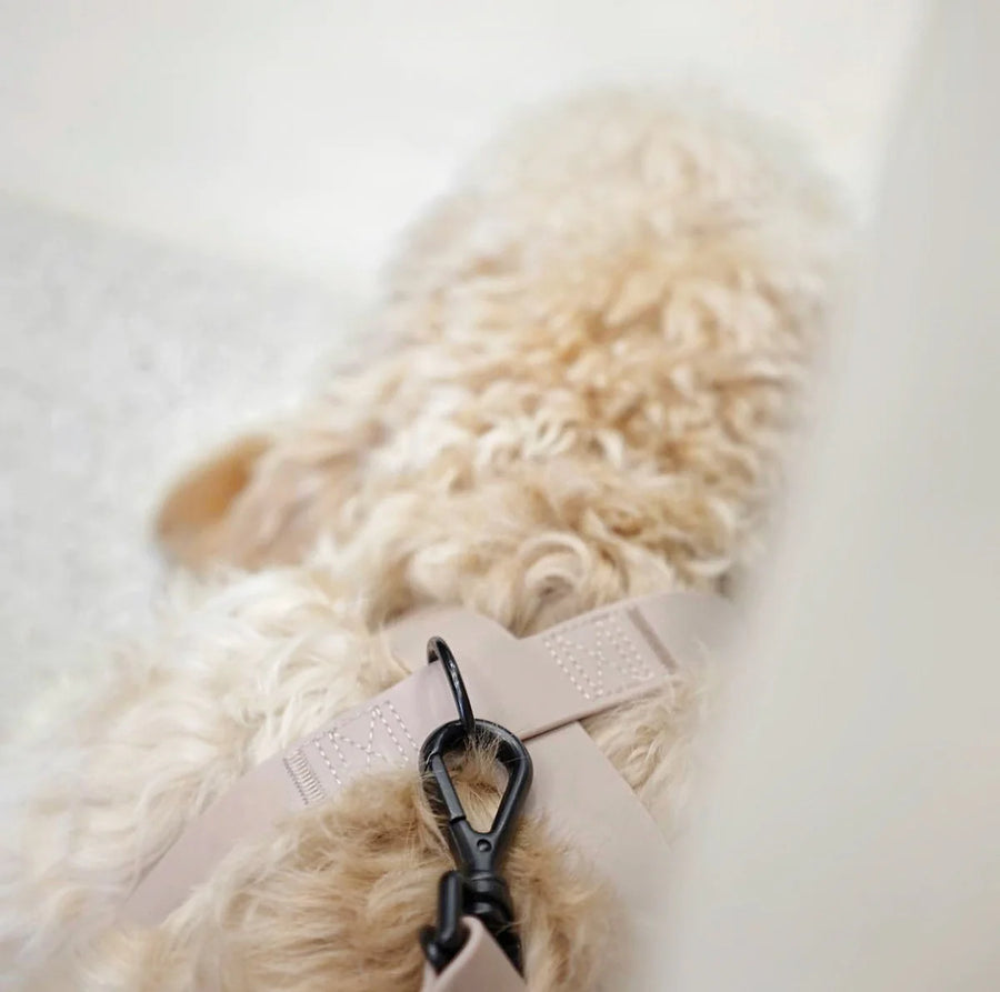 Otto Escape Proof Harness