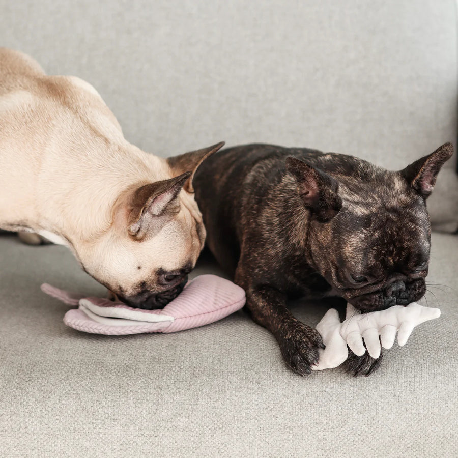 Angel Fish Dog Toy