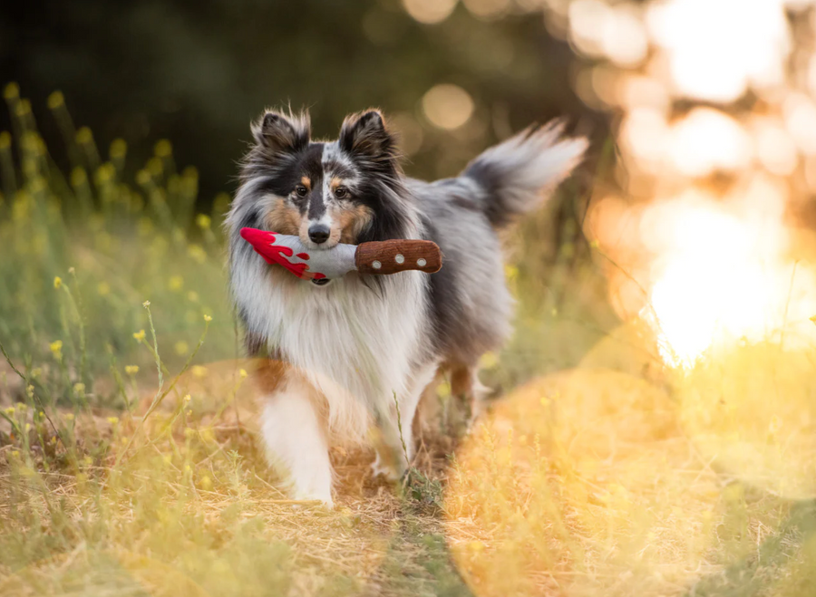 Howling Haunts Doggy Dagger Toy