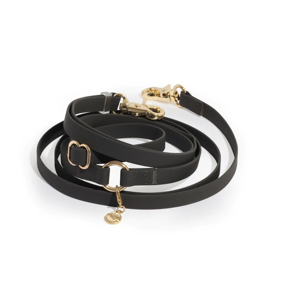 4-in-1 Convertible Hands Free Cloud Dog Leash