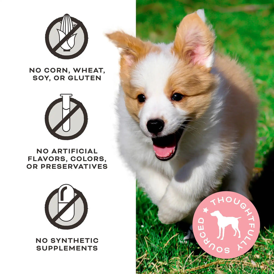 Let's All Get A Lung Beef Dog Treats