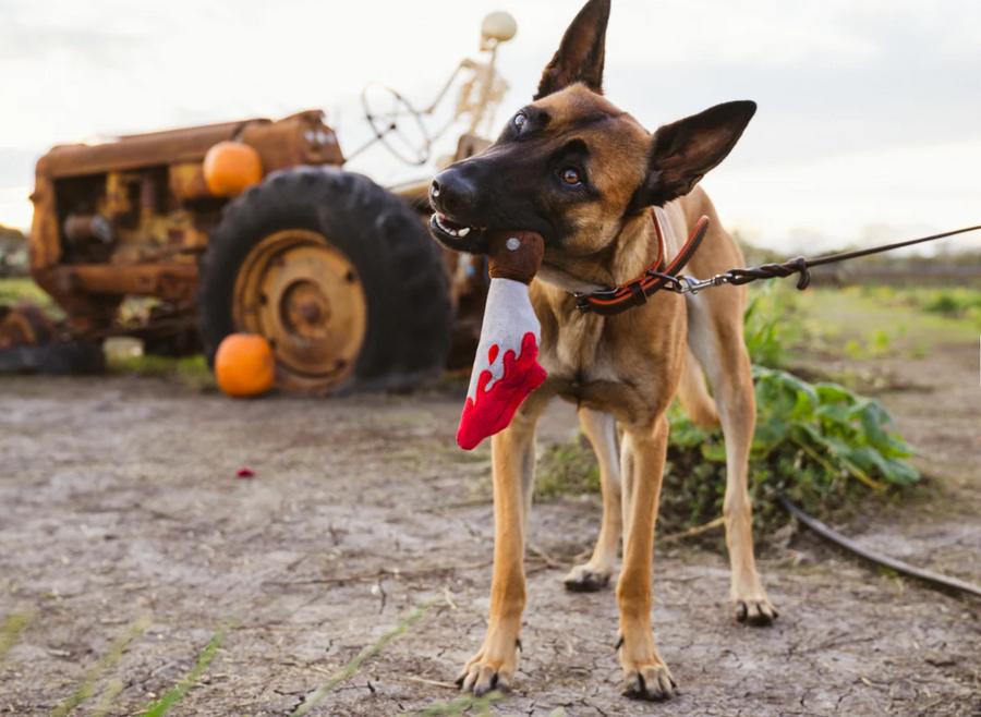 Howling Haunts Doggy Dagger Toy