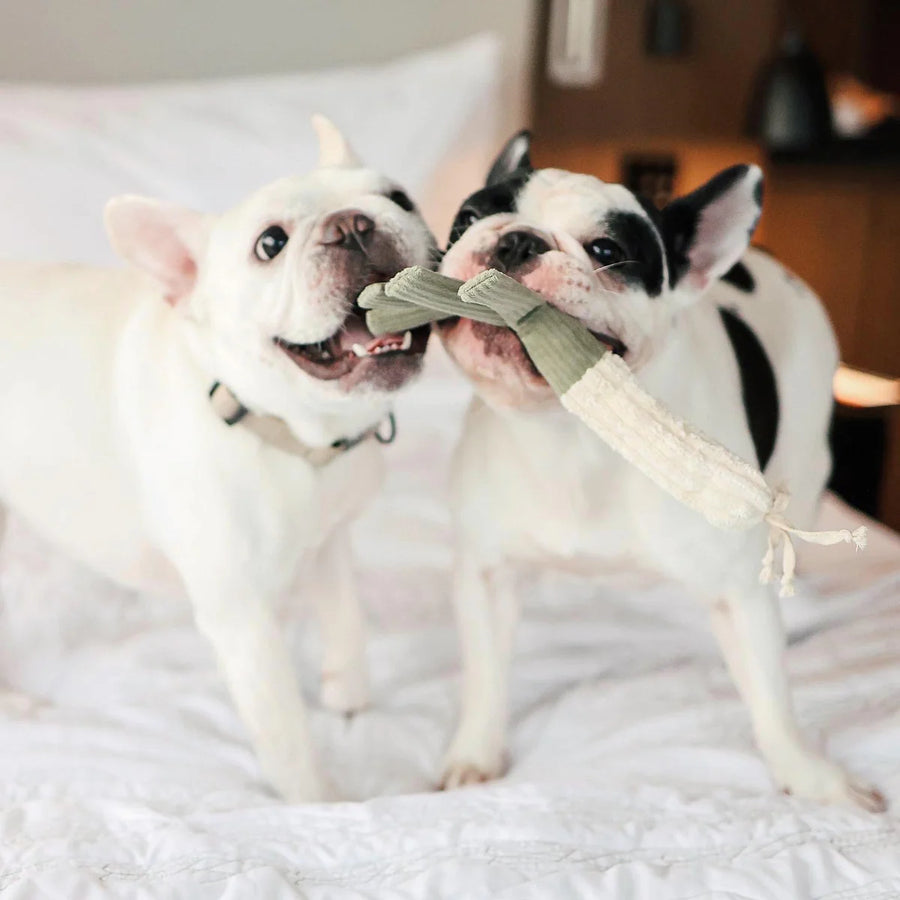 Corn & Leek Enrichment Dog Toy
