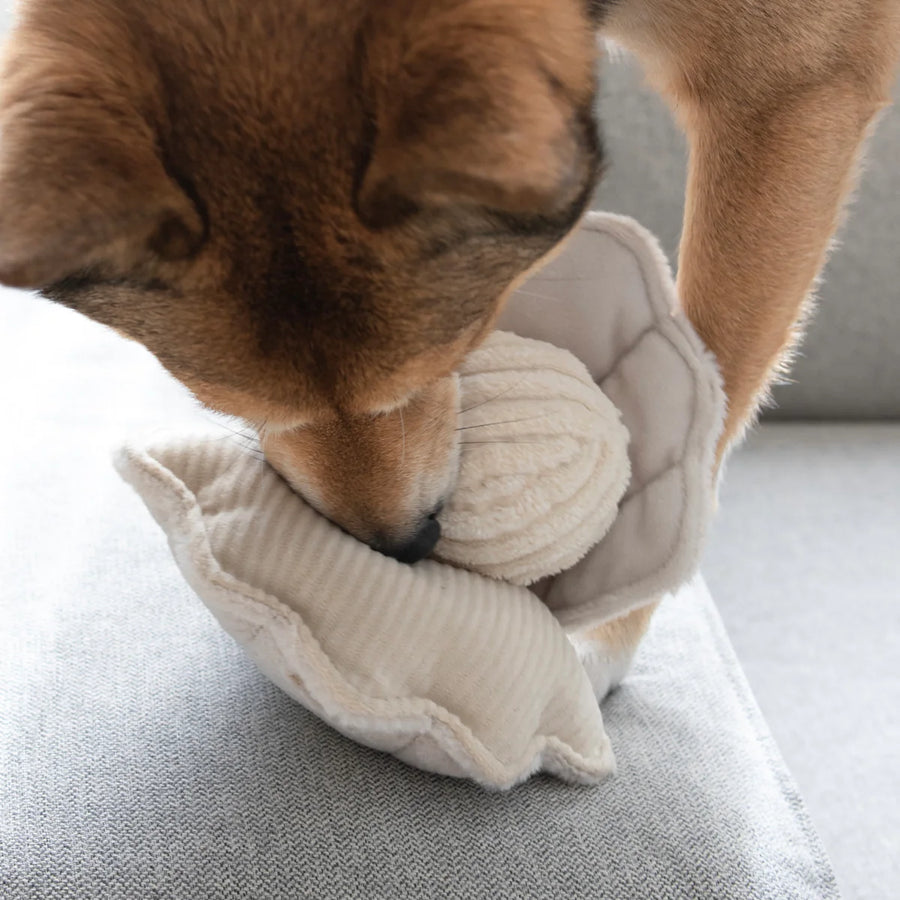 Oyster POP Dog Toy