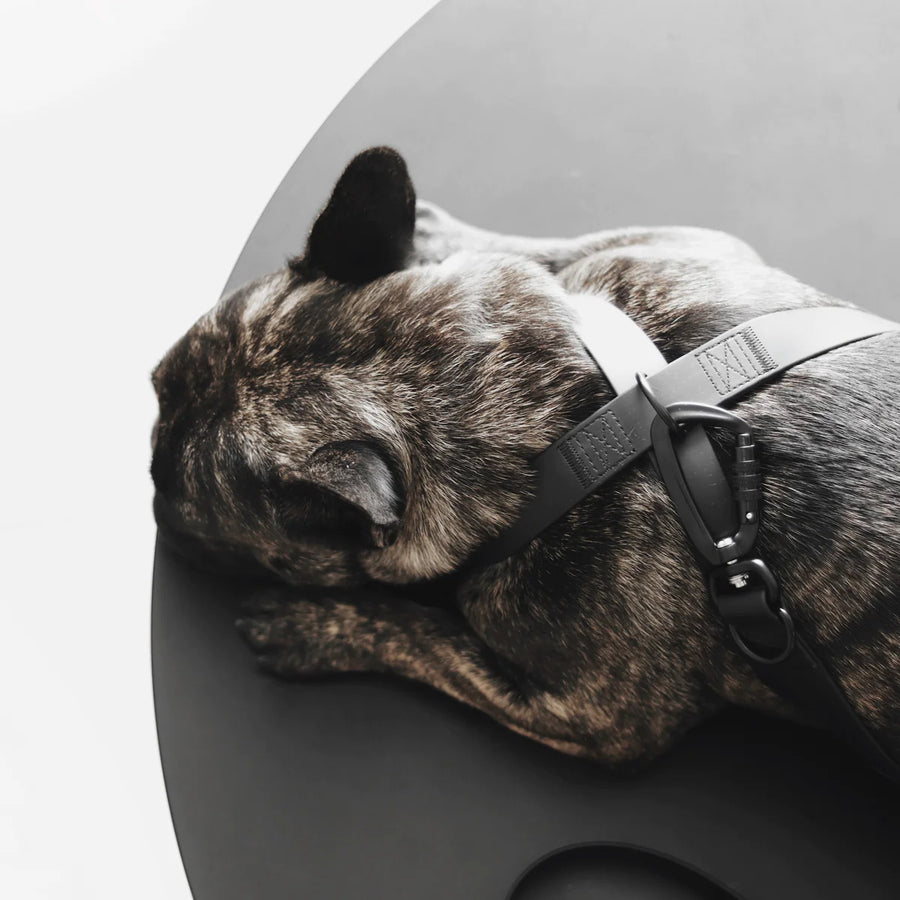 Otto Escape Proof Harness