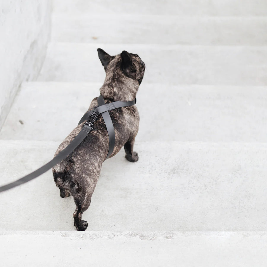 Otto Escape Proof Harness