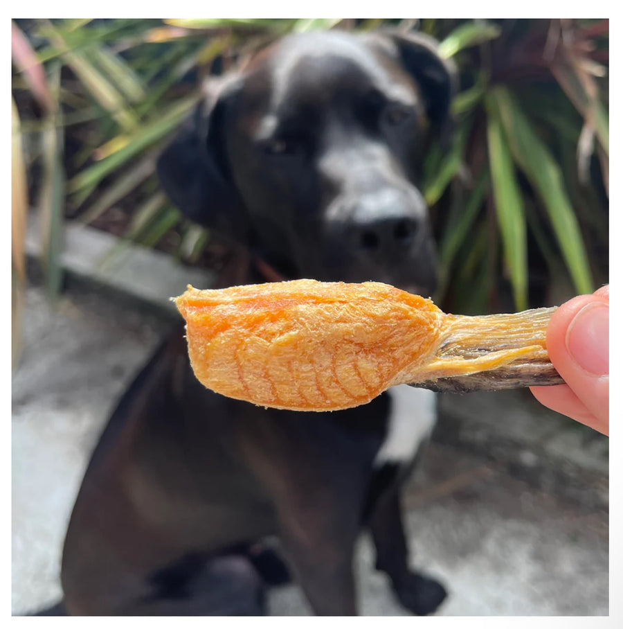 Alpine Freshwater Salmon Dog Treats