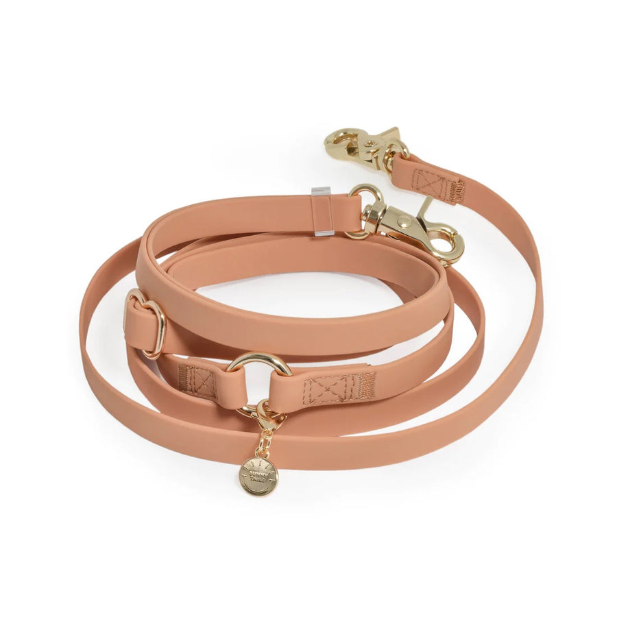 4-in-1 Convertible Hands Free Cloud Dog Leash