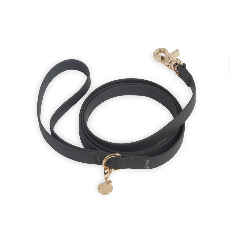 Waterproof Cloud Leash