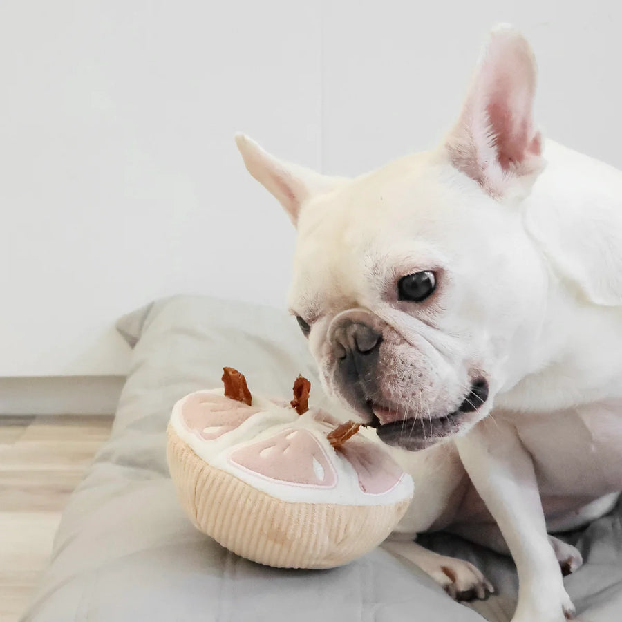 Grapefruit Dog Toy