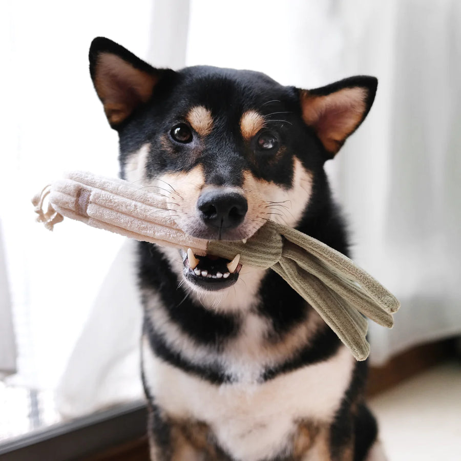 Corn & Leek Enrichment Dog Toy