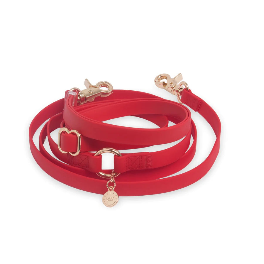 4-in-1 Convertible Hands Free Cloud Dog Leash