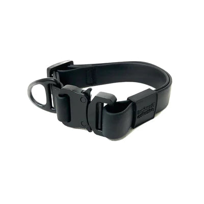 Ava Quick-Release Metal Buckle Collar