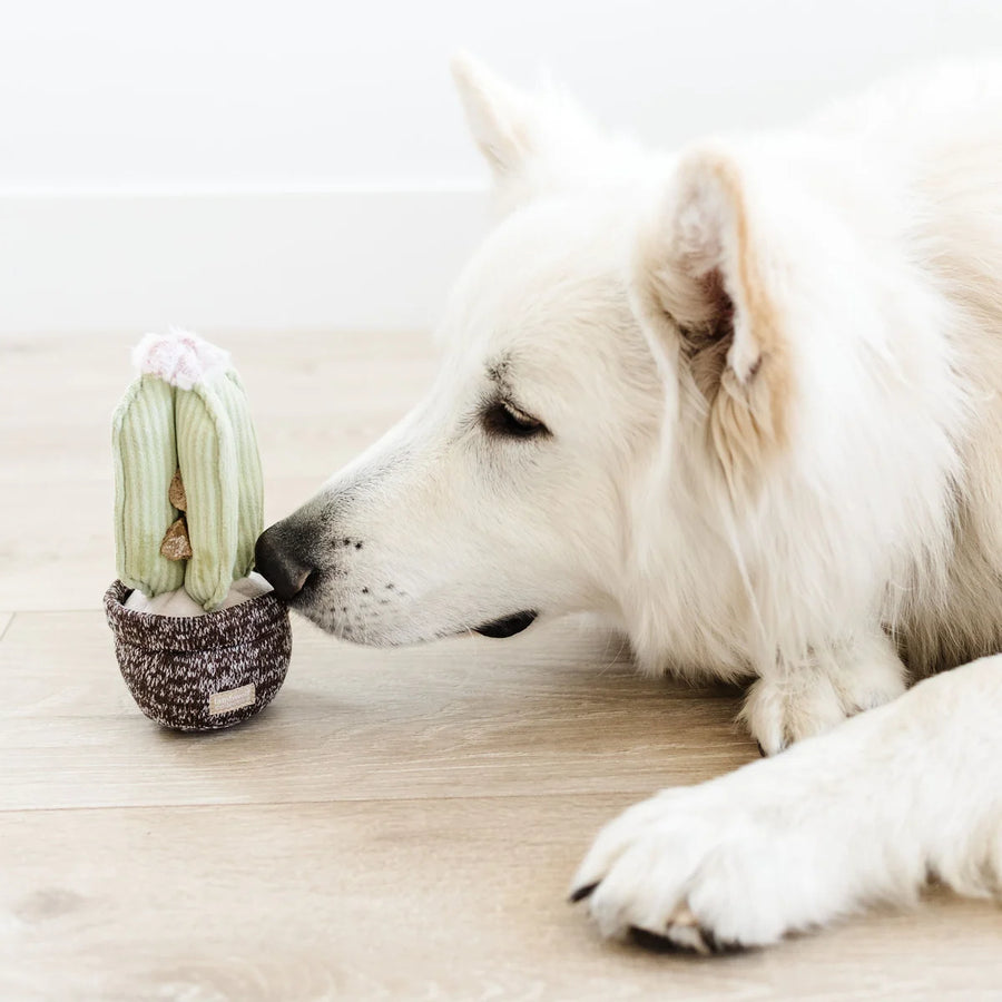 Cactus Dog Toy