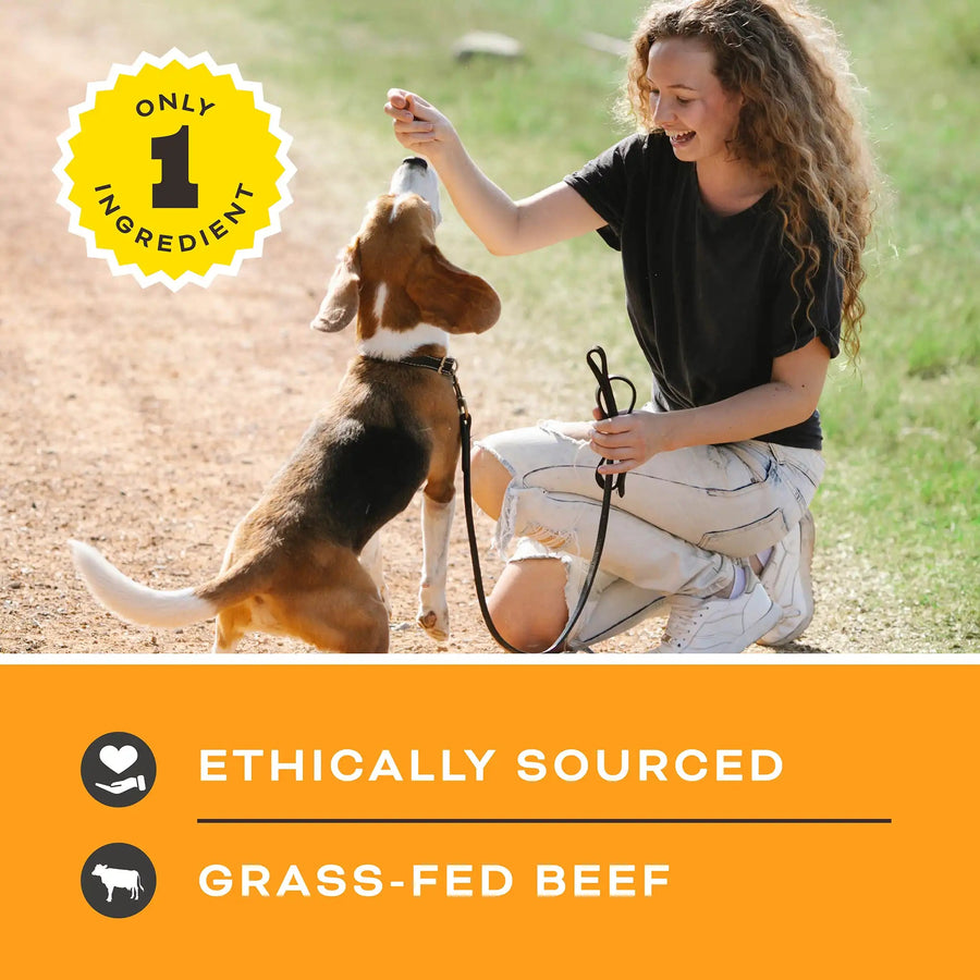 Let's All Get A Lung Beef Dog Treats