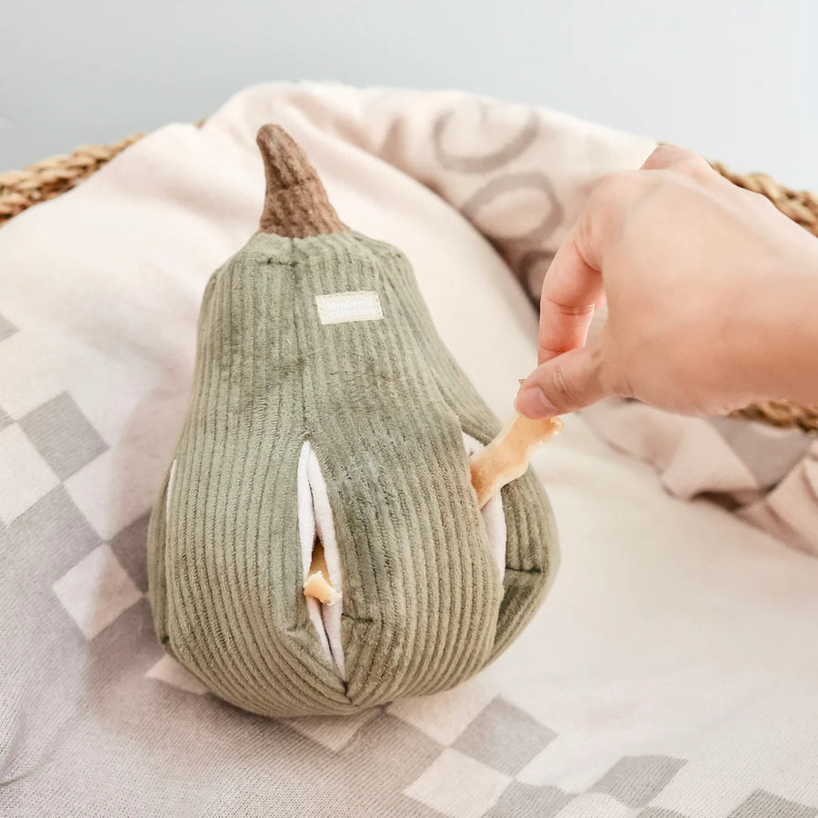 Butternut Gourd Enrichment Snuffle Dog Toy