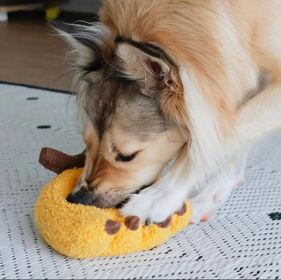 Banana Dog Toy