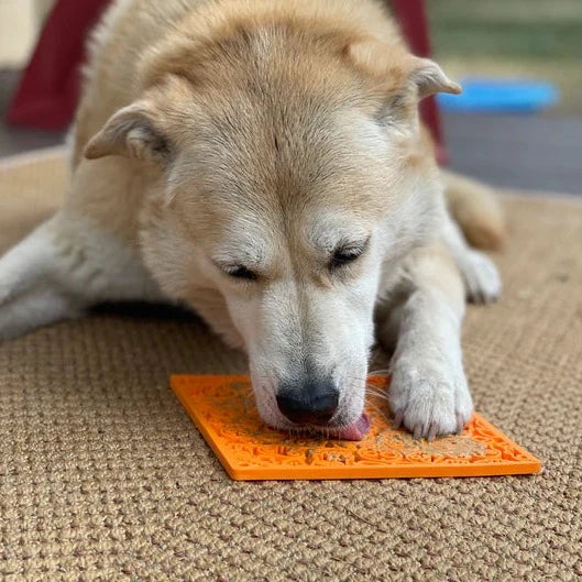 Zombie eMat Enrichment Lick Mat