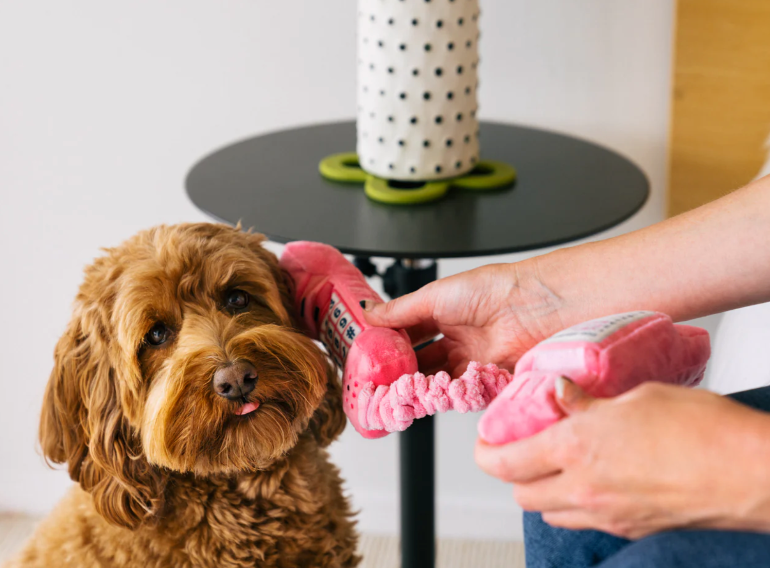 80s Classics Paw Talk Toy