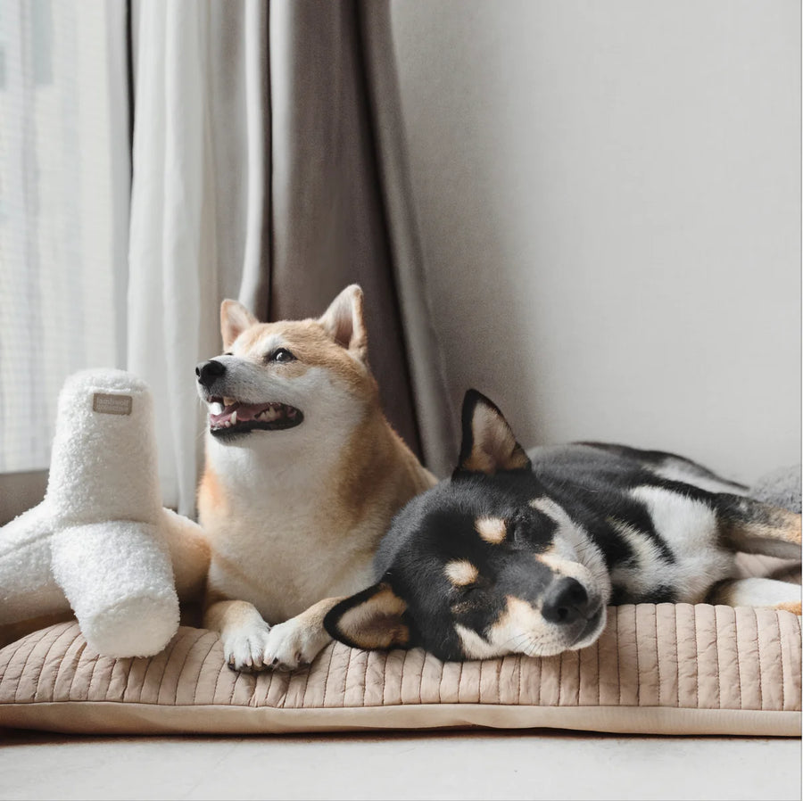 O Breuer Toy - Oversized + Squeaky + Crinkly
