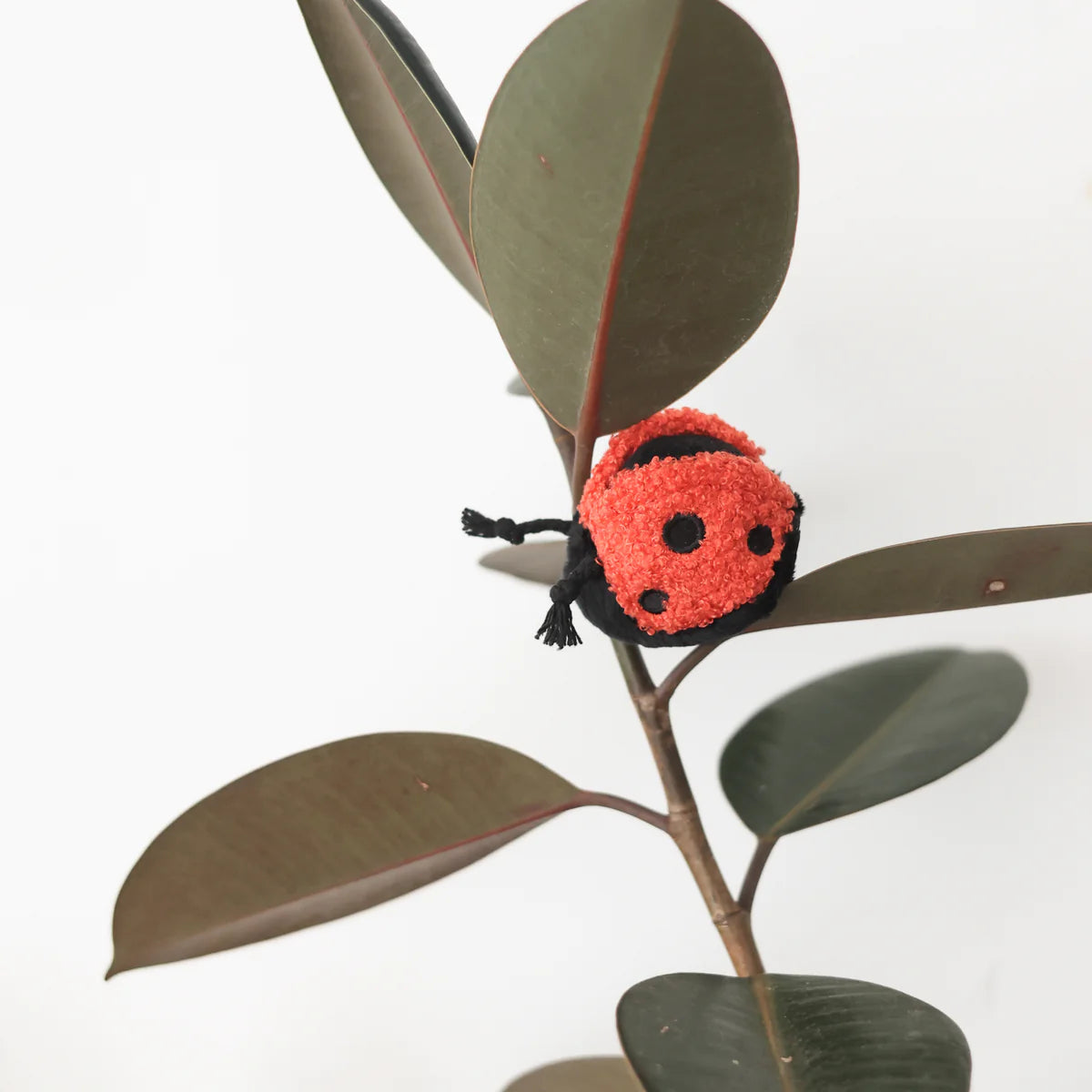 Ladybug POP Dog Toy