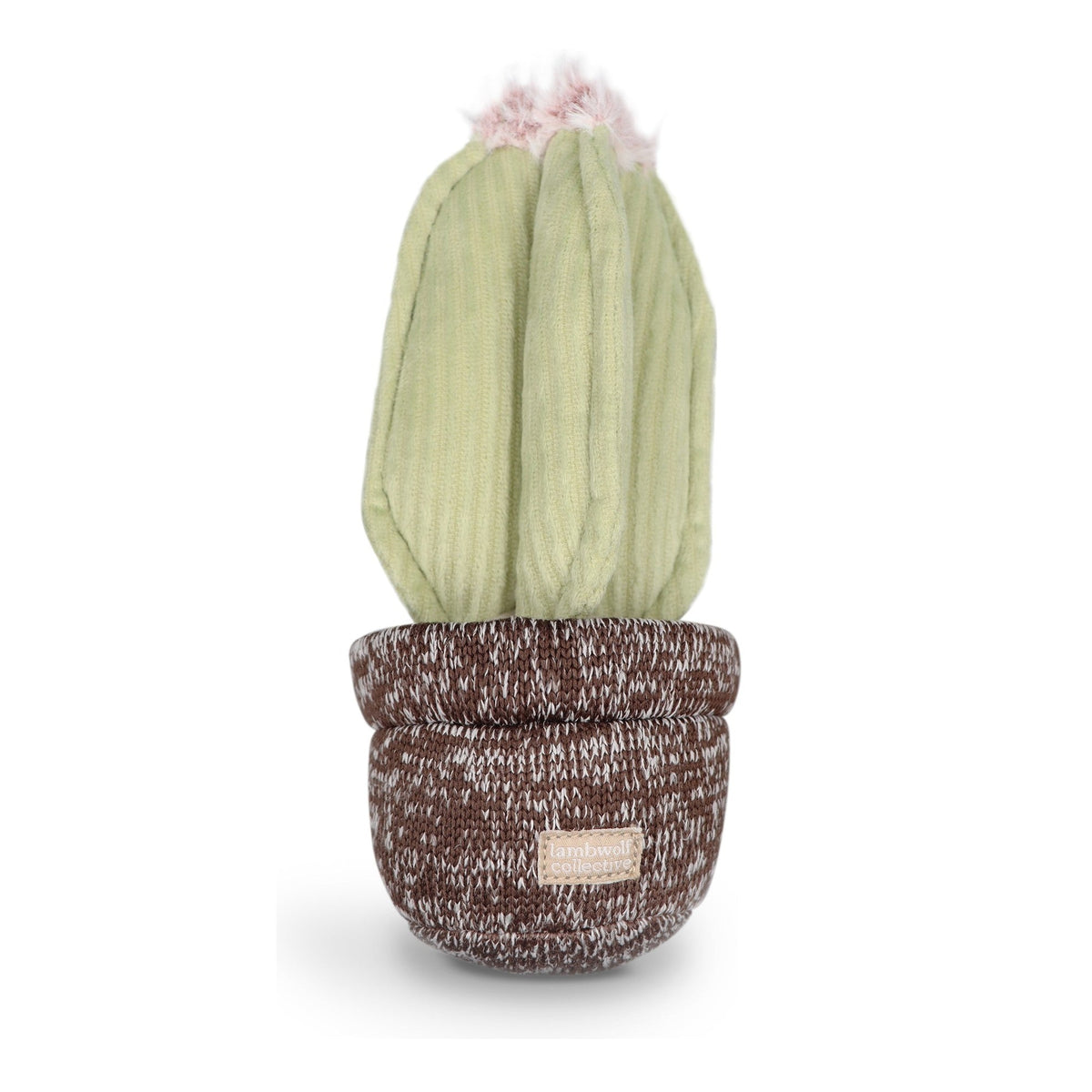 Cactus Dog Toy
