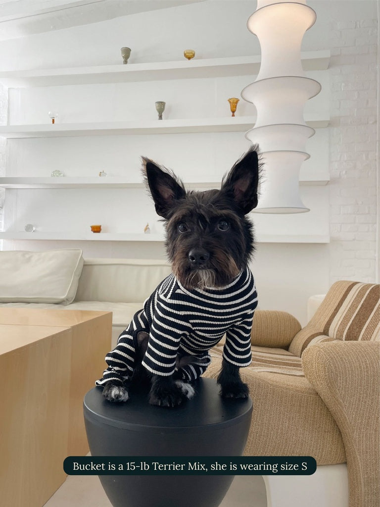 Little Beast Café in Paris Onesie