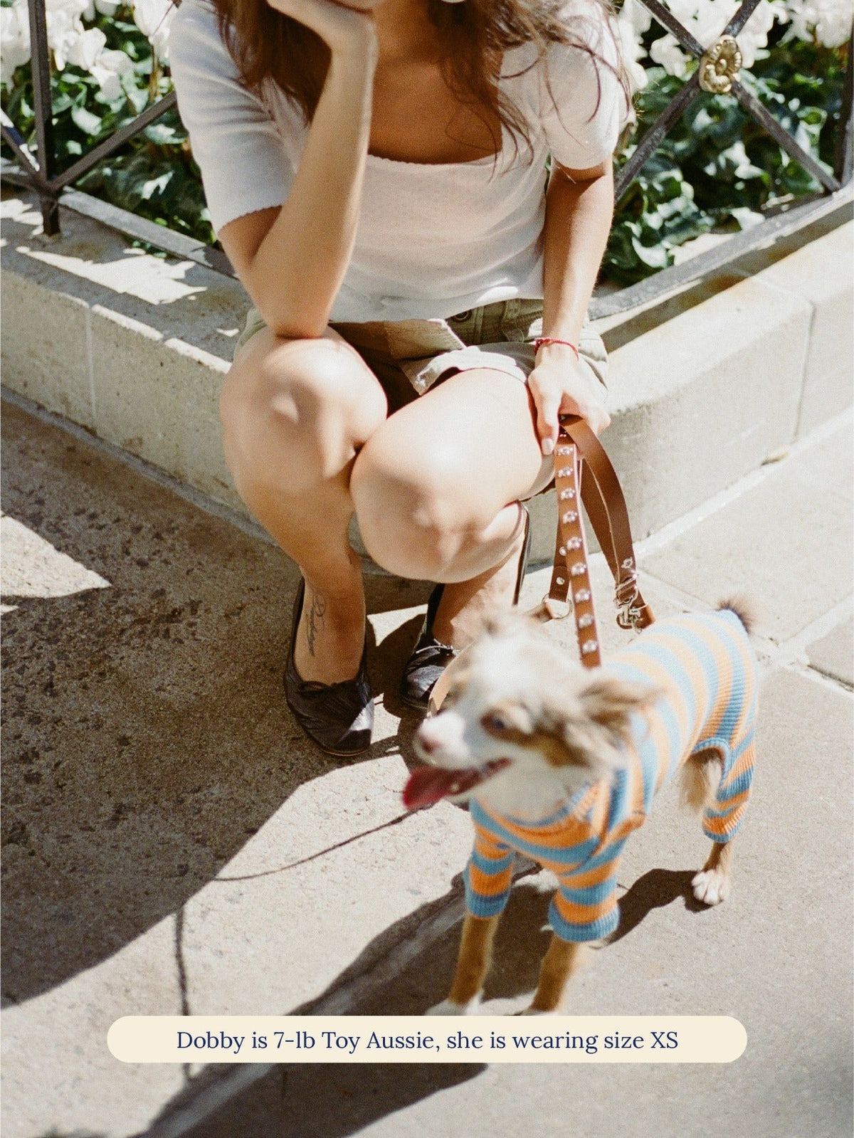 Toy Aussie in the Little Beast OG Stripe Onesie on a leash