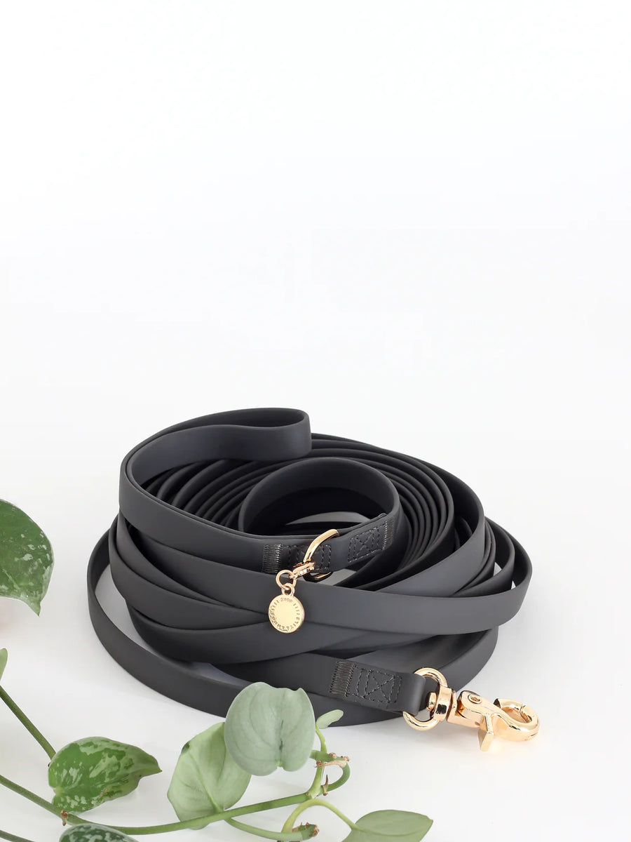 Waterproof Cloud 30 Ft Dog Leash