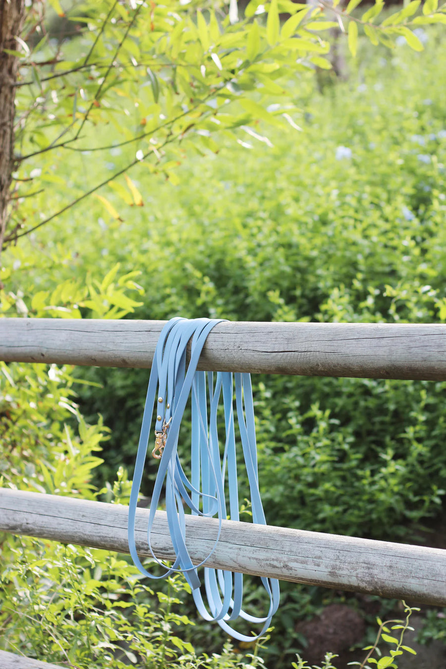 Waterproof Cloud 30 Ft Dog Leash