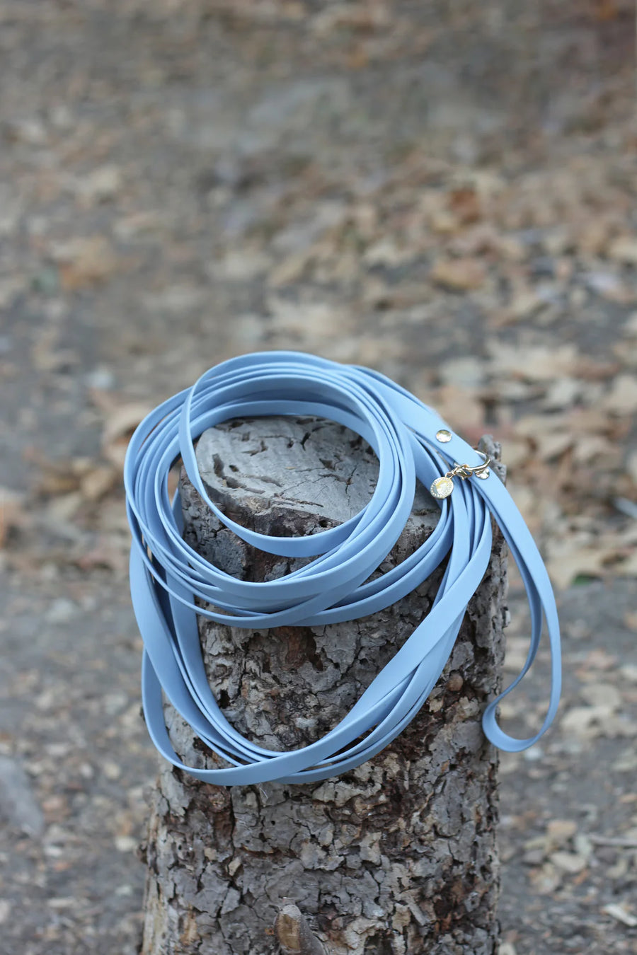 Waterproof Cloud 30 Ft Dog Leash
