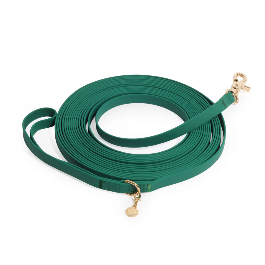 Waterproof Cloud 30 Ft Dog Leash
