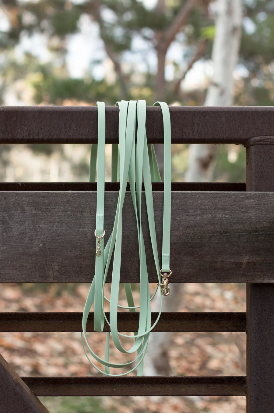 Waterproof Cloud 30 Ft Dog Leash