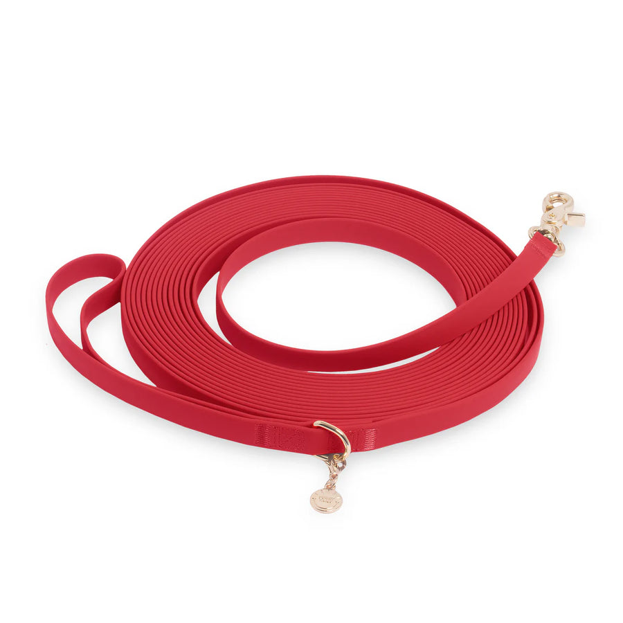 Waterproof Cloud 30 Ft Dog Leash