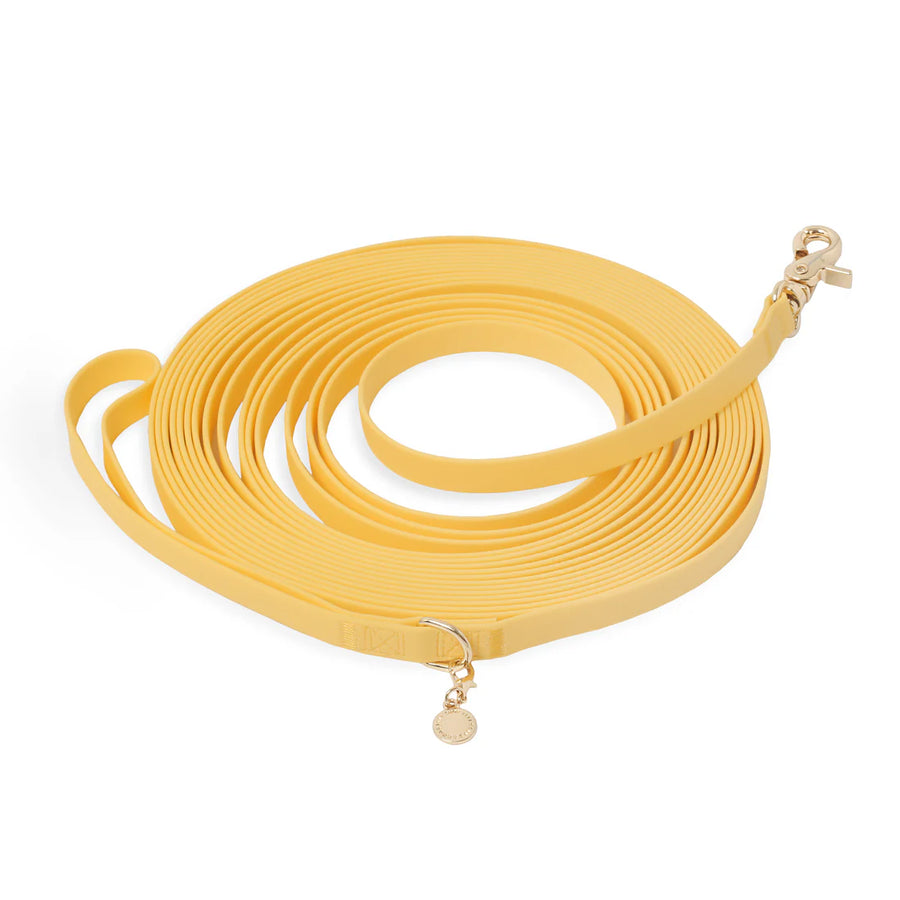 Waterproof Cloud 30 Ft Dog Leash