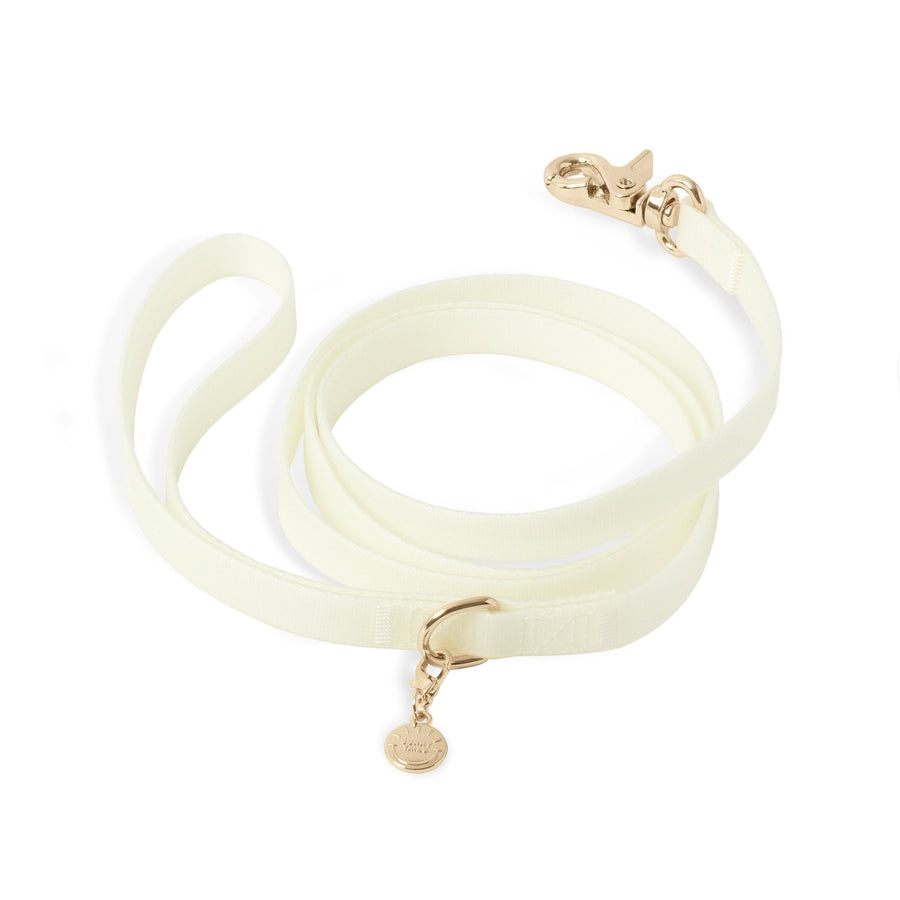 Lunar Glow Waterproof Cloud Dog Leash