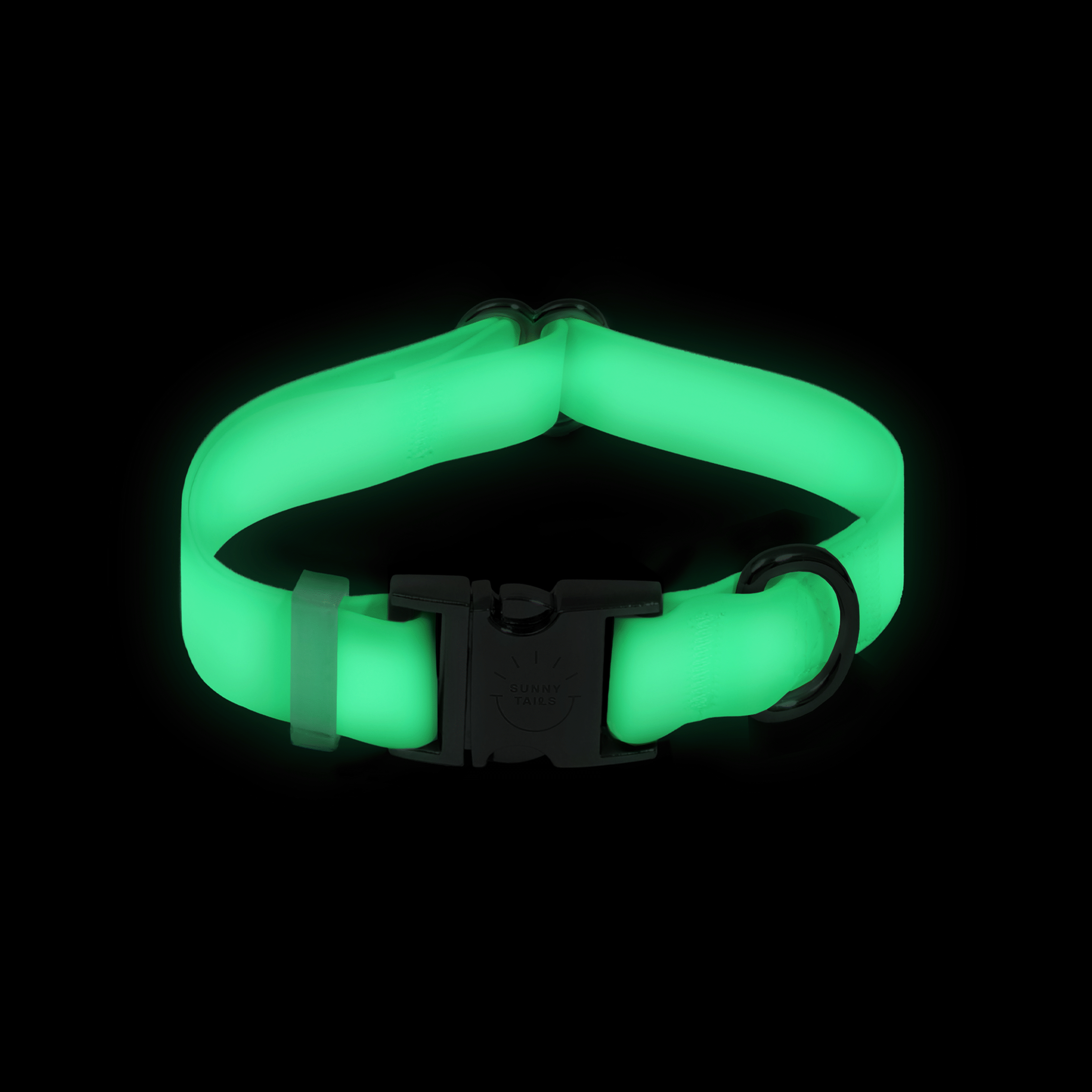 Lunar Glow Waterproof Dog Collar glowing