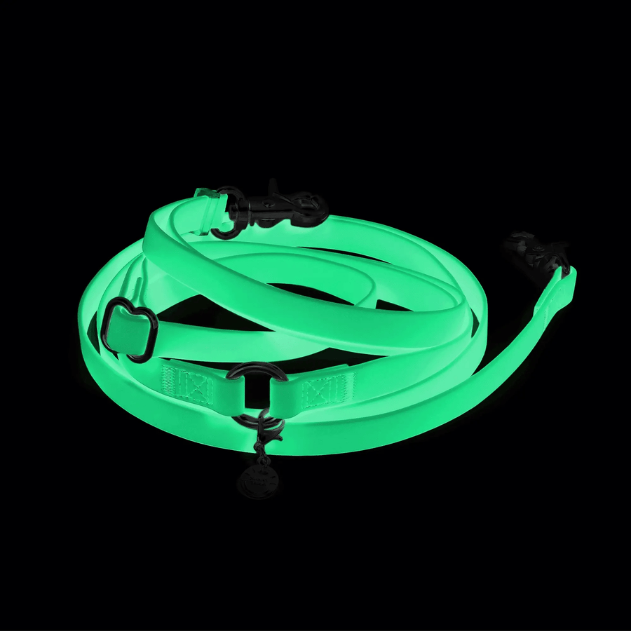 4-in-1 Convertible Hands Free Cloud Dog Leash